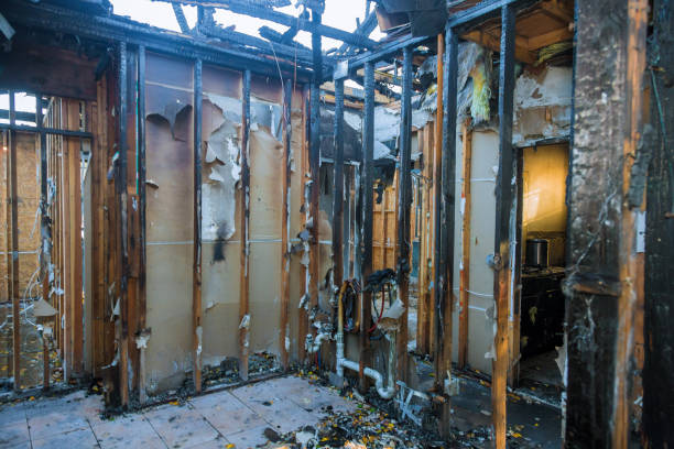 Professional Fire Damage Assessment technician working in Iselin, NJ